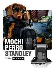 Cargar imagen en el visor de la galería, Mochila para perros - Caritas Sucias - Standley