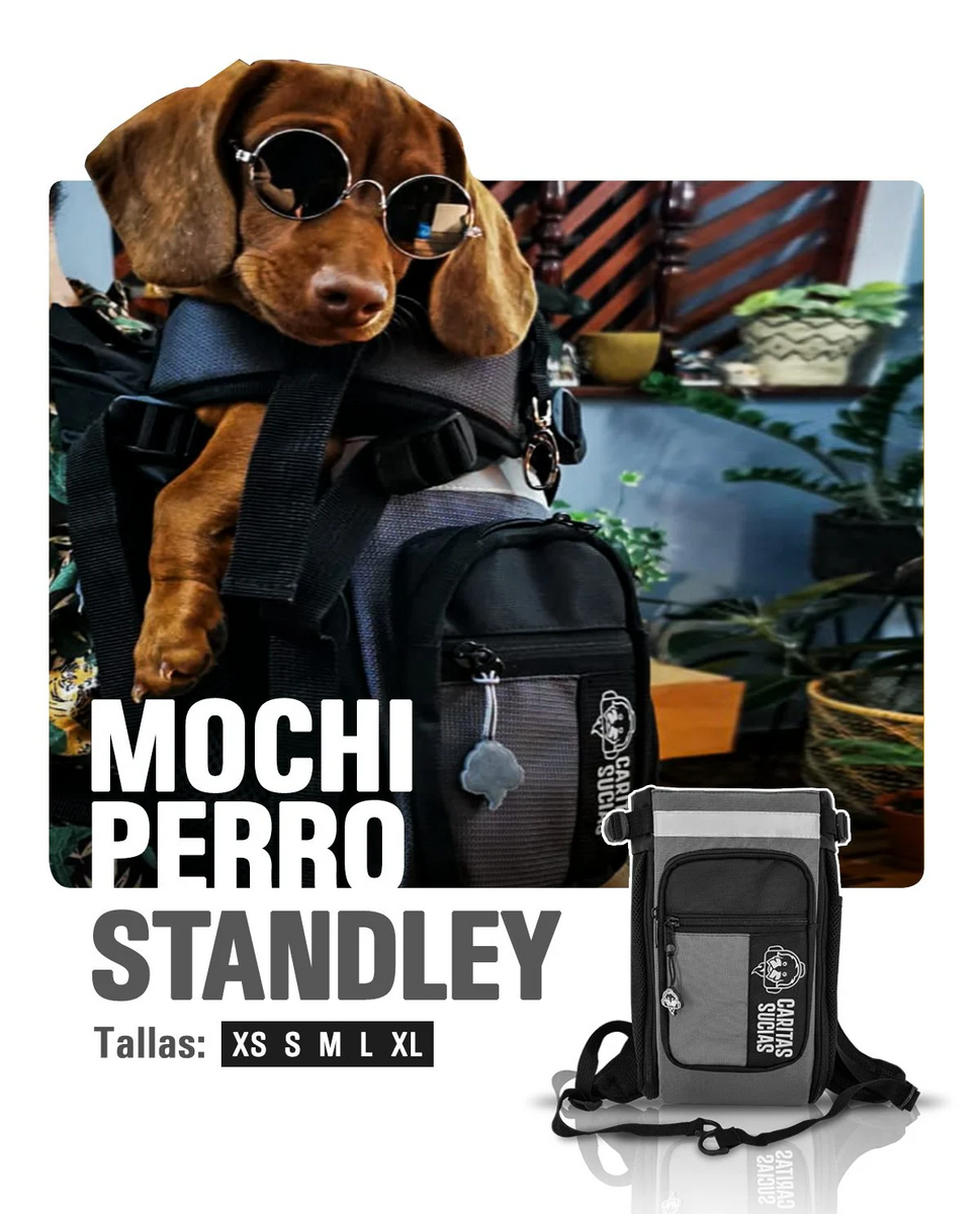 Dog Maletas Para Llevar Perros En Moto Mochila Para Perros Caritas