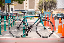 Cargar imagen en el visor de la galería, Bicicleta - Zega Fija 2Tone Cromoesmeralda / Grafito